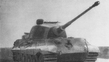 Королевский тигр