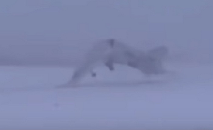 ПАЛЛЛ