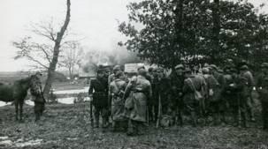 Волынь