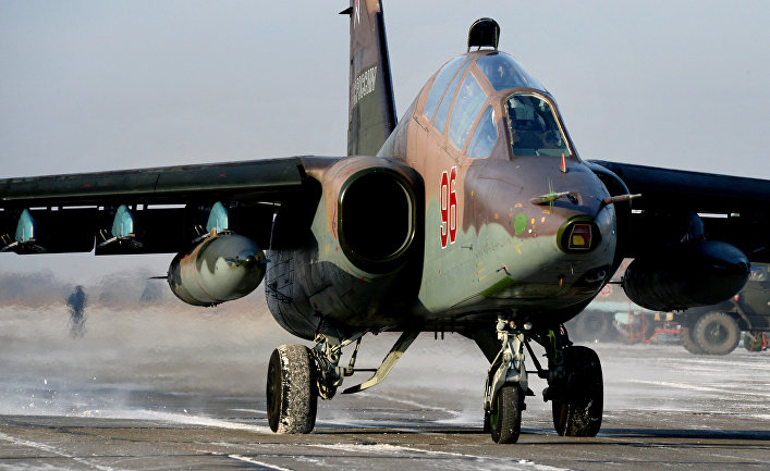 Бородавочник