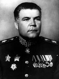Фото Малиновский Родион Яковлевич