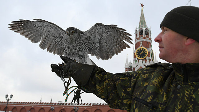 Источник