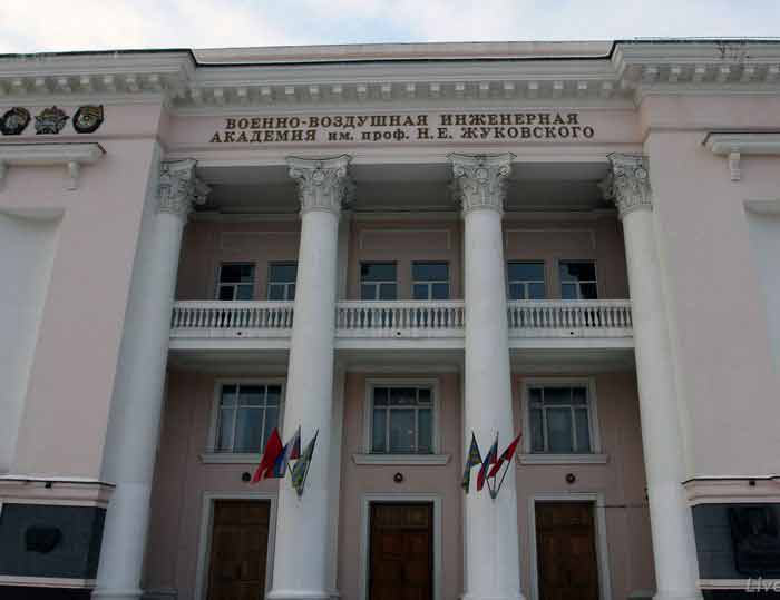 птицы