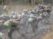 Внутренние войска МВД России