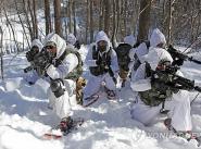США и Южная Корея проведут совместные учения